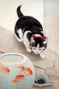 Kitten and Koi Fish- Cafe Puzzle