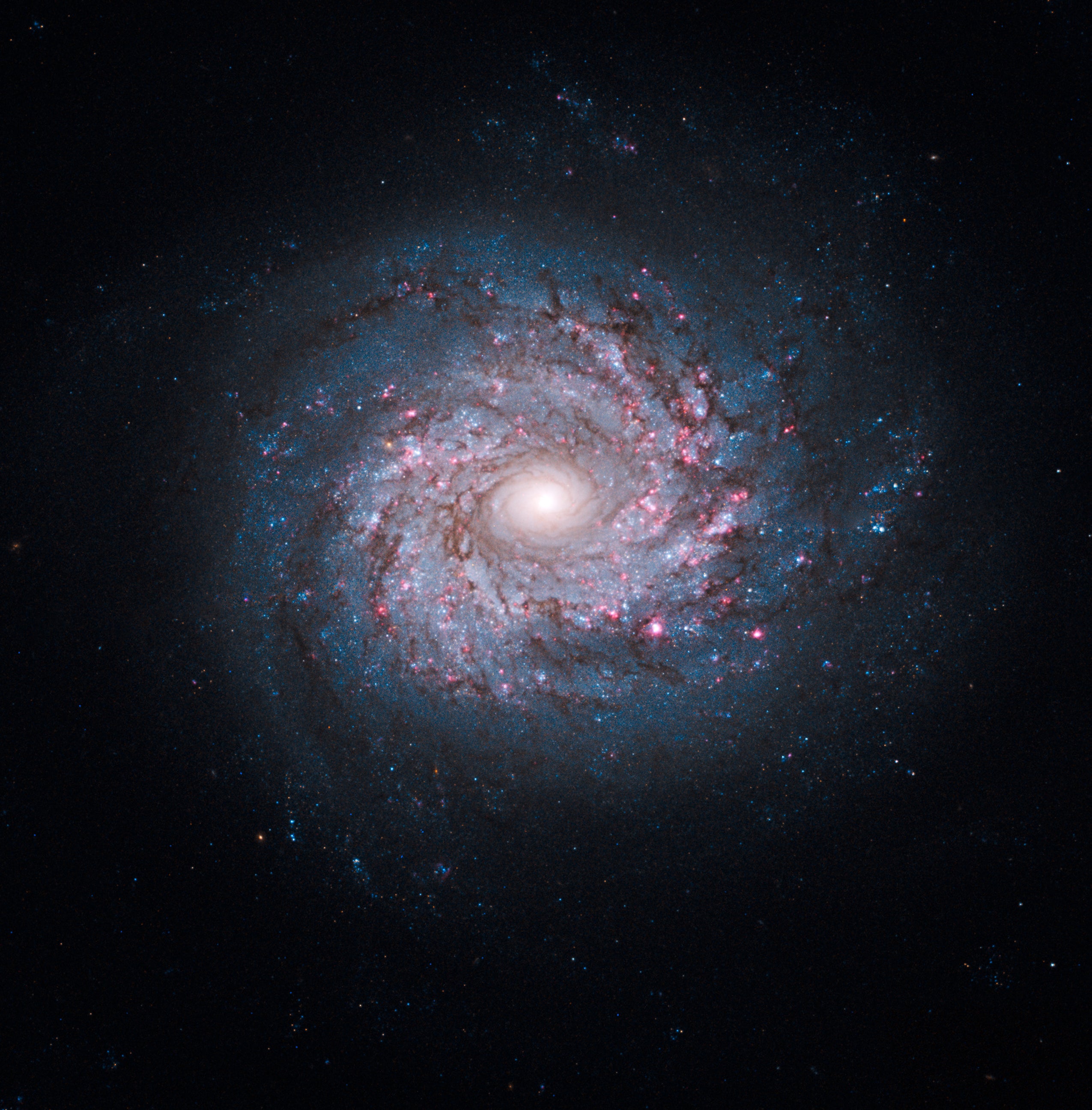 NGC 3892-Galaxy