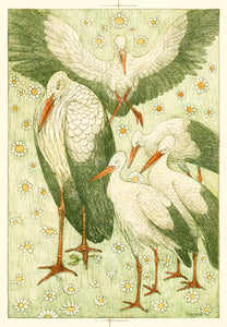 Five Storks in a Meadow